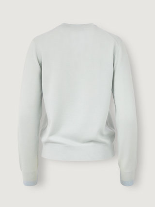 Classic Crewneck Cardigan _ Misty Sage
