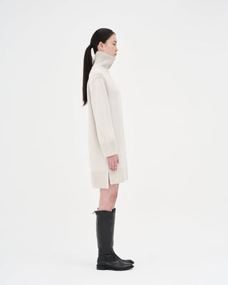 Wool Cashmere Knit Dress _ Cloud Tweed