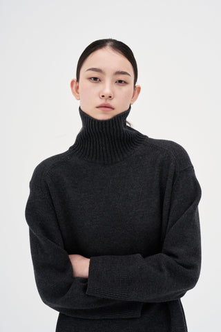 Wool Cashmere Knit Dress _ Charcoal