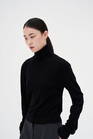 Wool Turtleneck Knit _ Black